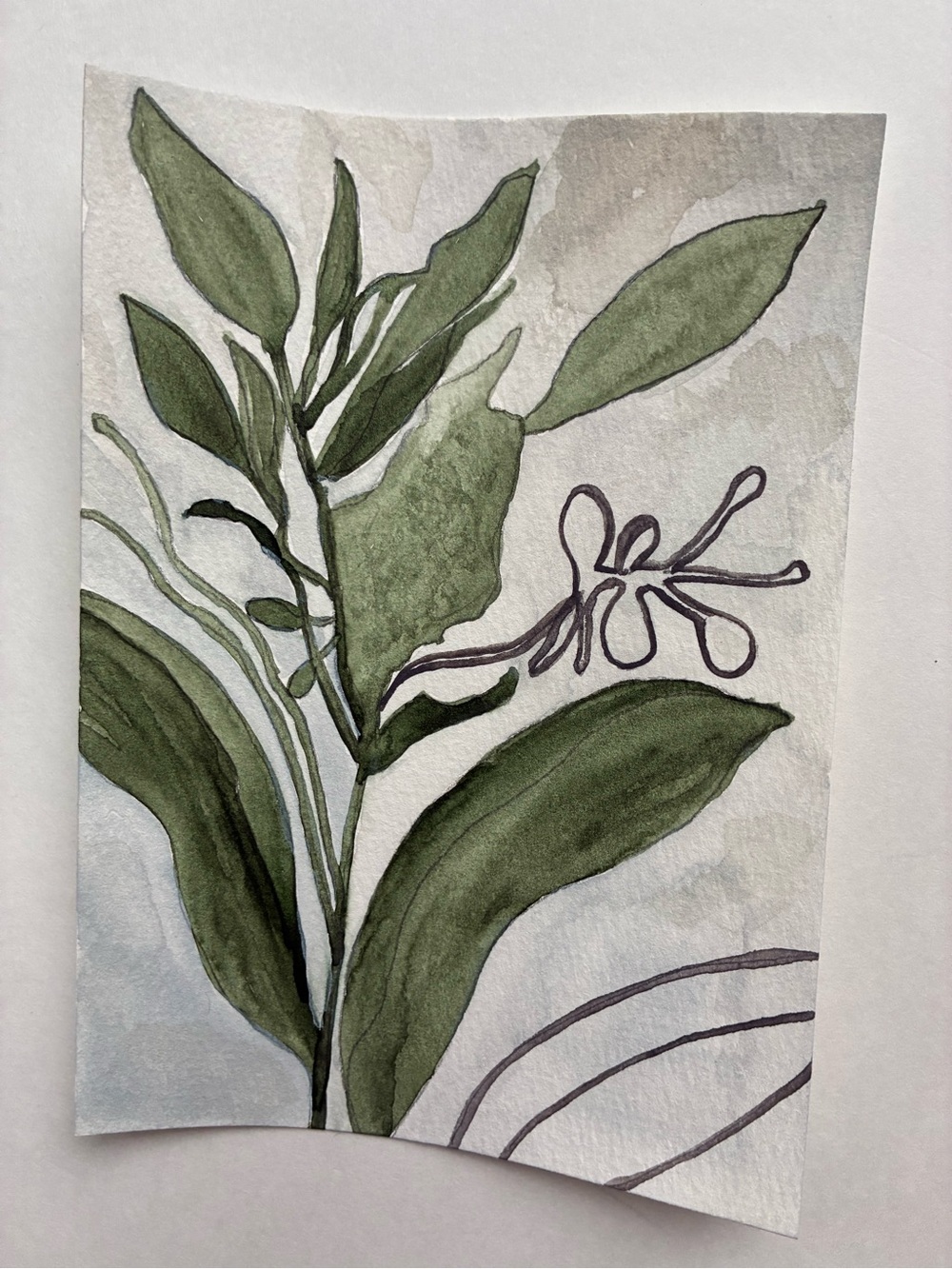 Botanical Watercolor Wall Art Painting